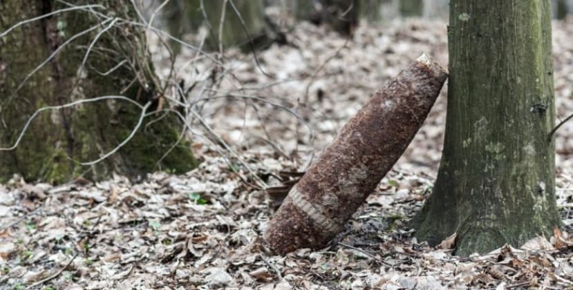 Несколько снарядов времен ВОВ обнаружены в лесах Гродненщины