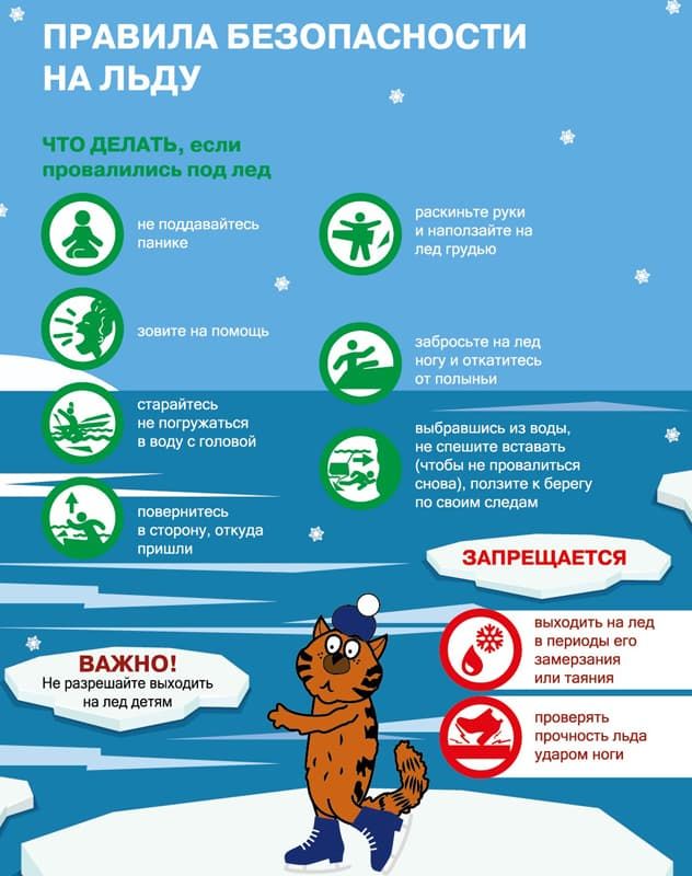 listovki 15