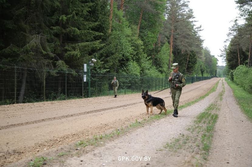 Гродненские пограничники за сутки задержали двух нарушителей госграницы