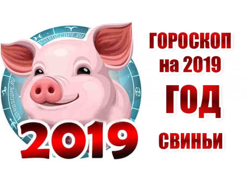 Год поросенка. Год свиньи 2019. Год свиньи гороскоп. 2019 Свинья. 2019 Год знак зодиака.