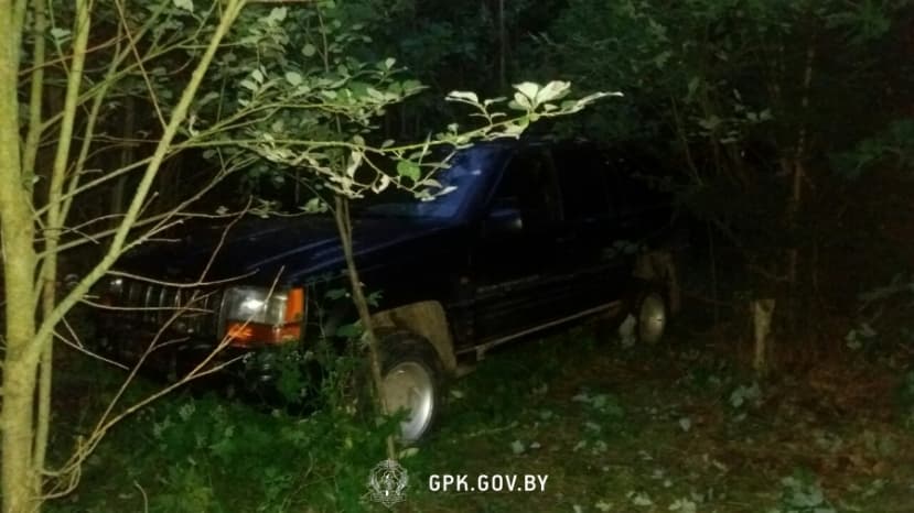 В Вороновском районе пограничники со стрельбой останавливали нарушителя, оказавшего неповиновение
