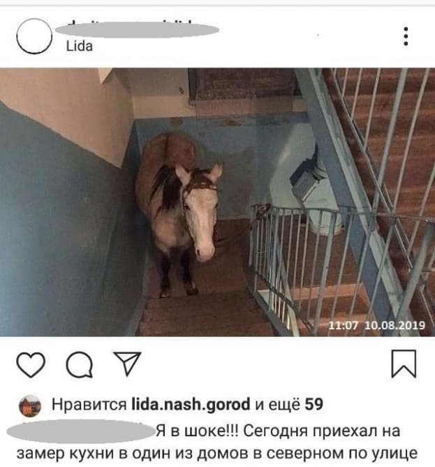 Фейковая лошадь доскакала и до Лиды