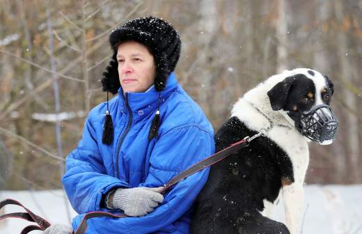 Какая ответственность предусмотрена за выгул собак без намордника? Рассказали в Лидском РОВД