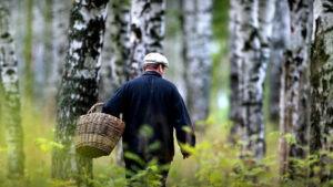 Зелено и опасно? В Лидском РОЧС рассказали, как подготовиться к летним прогулкам и не заблудиться